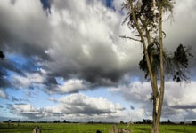 买基金可以随时退出吗，买基金算是炒股吗