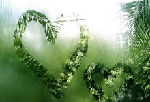 买基金可以随时退出吗，买基金算是炒股吗