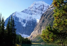 买基金可以随时退出吗，买基金算是炒股吗