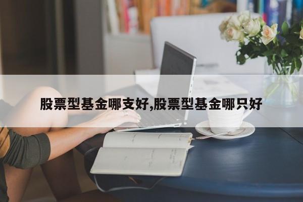 股票型基金哪支好,股票型基金哪只好