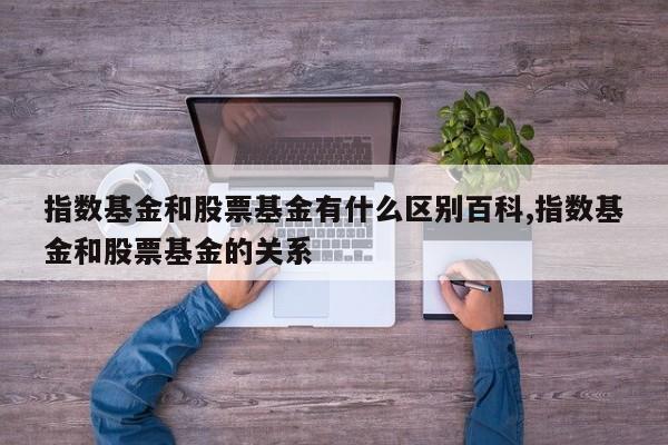 指数基金和股票基金有什么区别百科,指数基金和股票基金的关系